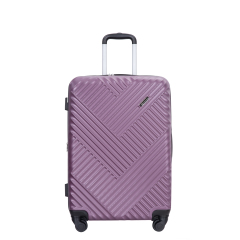 Expandable 3 Piece Luggage Sets PC Lightweight Suitcase with Two Hooks, Spinner Wheels, TSA Lock, (20/24/28), Purple